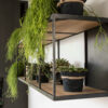 rubic long wall shelf hanging plants